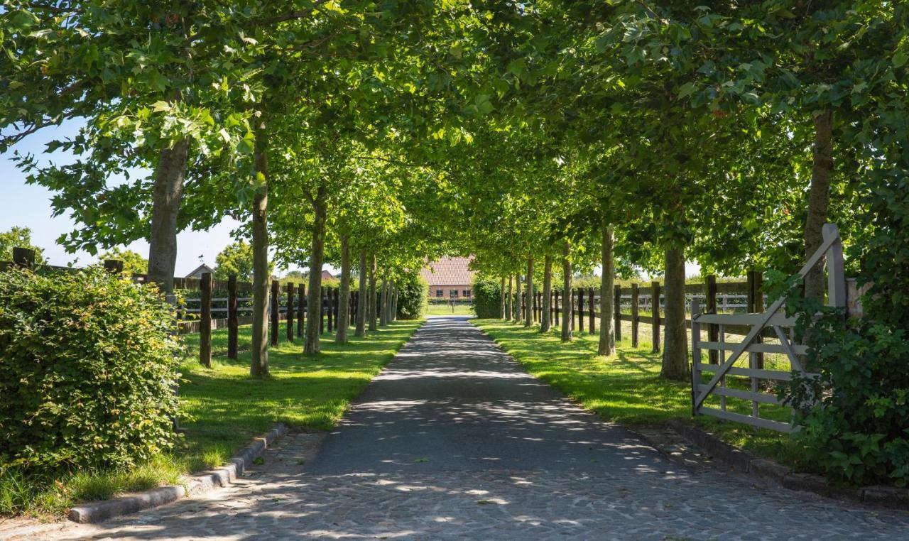 Het Spechtennest Zedelgem Exterior foto